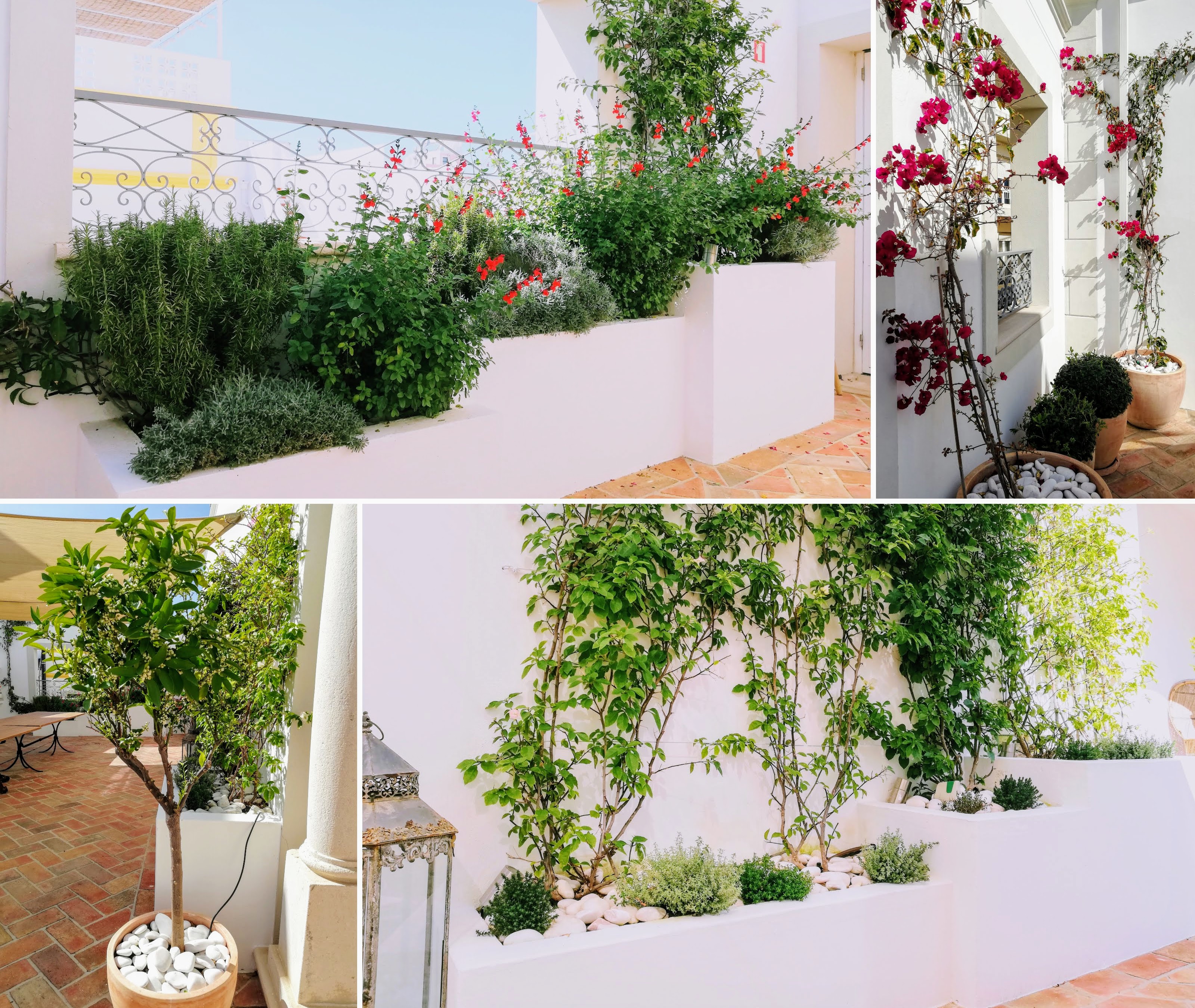 Casa Fuzetta - Image 6